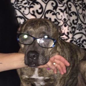 Meet your Posher, Lesley